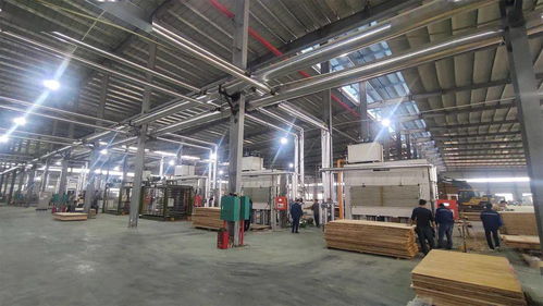 簽約合作 開年開好局,大王椰家具板渠道發力氣勢如虹
